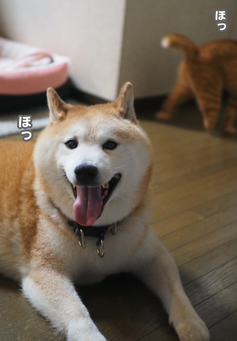 19日ブログ７