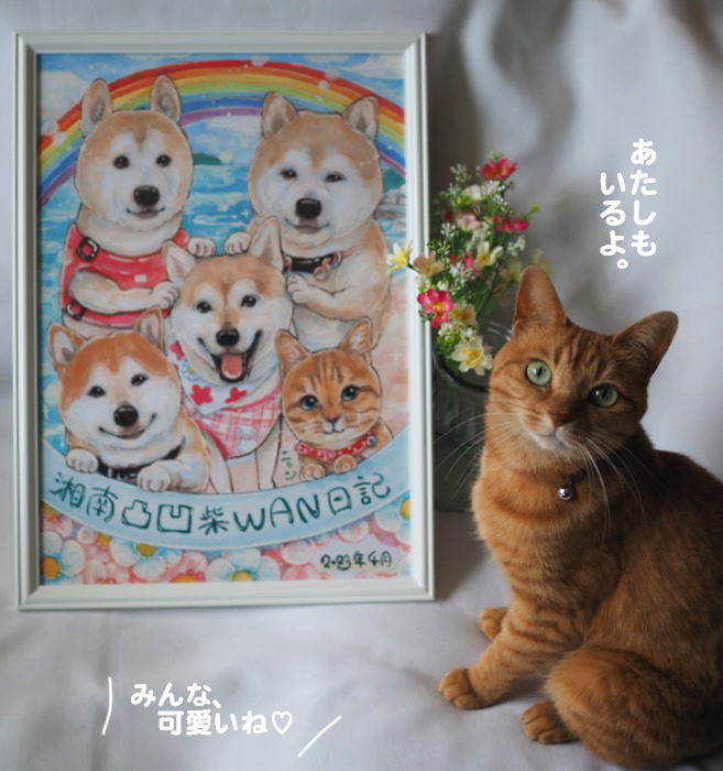 13日夕ブログ４