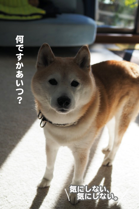 20日ブログ８