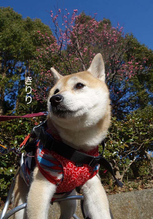 30日夜ブログ2