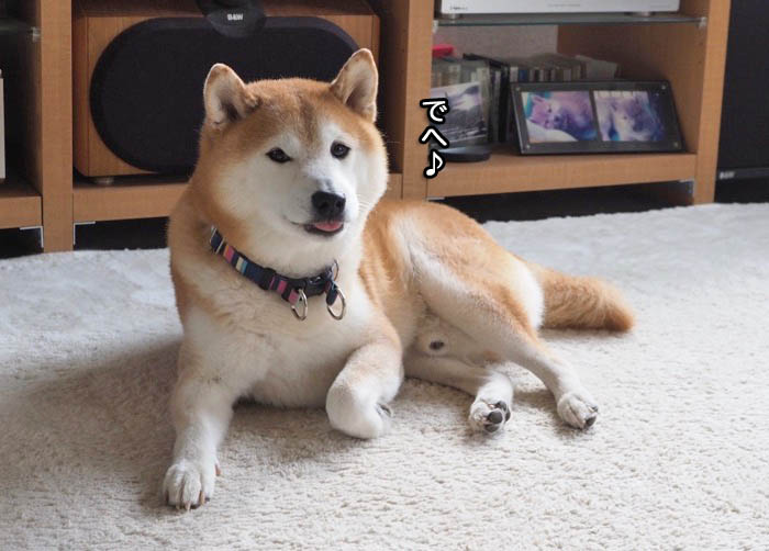 4日夜ブログ９