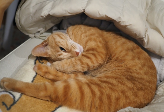 3日ブログ３