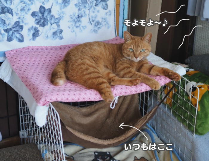 13日夕ブログ２