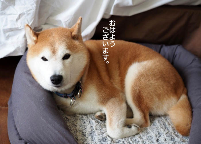 22日ブログ１２