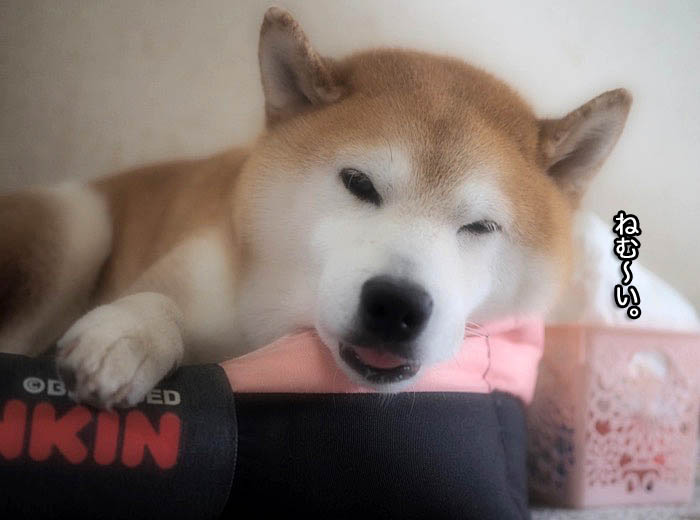 5日ブログ３