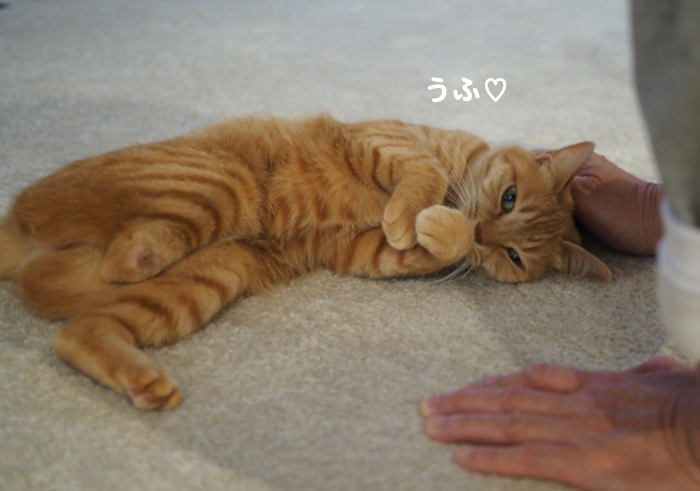 17日夜ブログ3