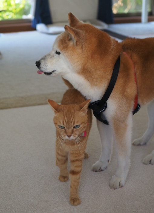 8日ブログ４