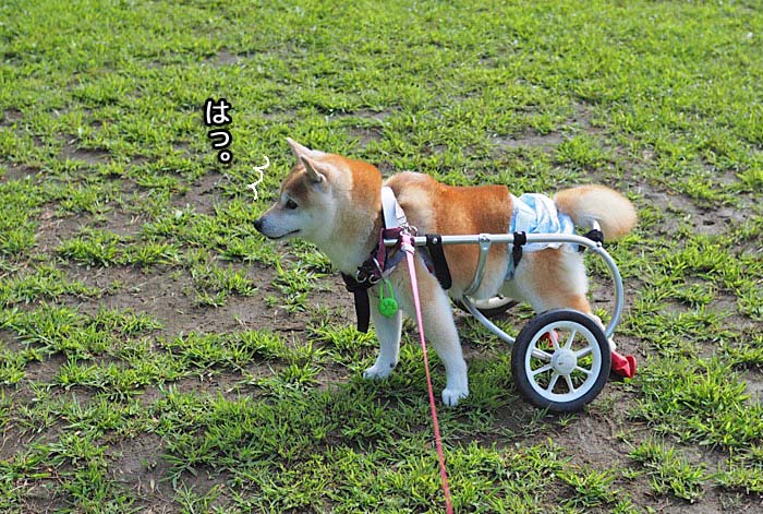 9日ブログ３