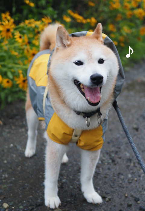 17日ブログ３