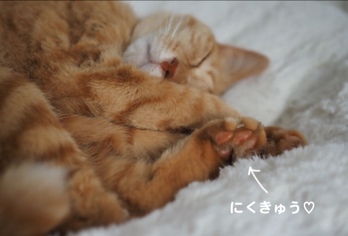 6日夕ブログ6
