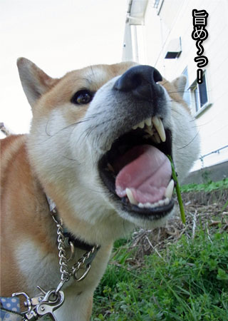 23日ブログ7.jpg