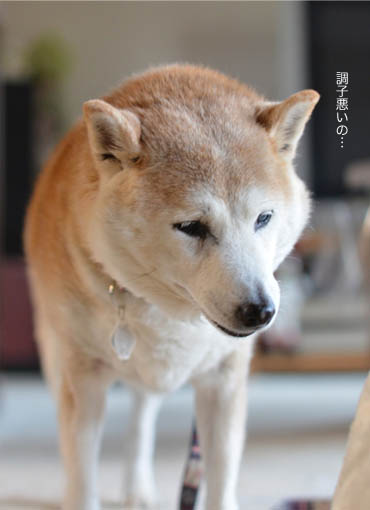 21日ブログ5.jpg
