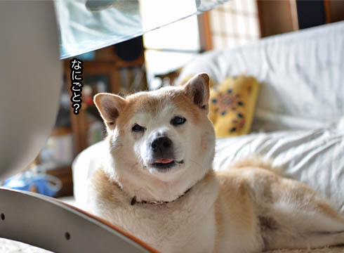 25日ブログ7.jpg