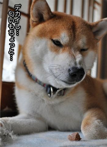 30日ブログ14.jpg