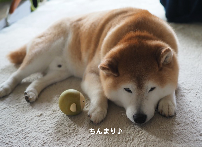 29日夕ブログ３