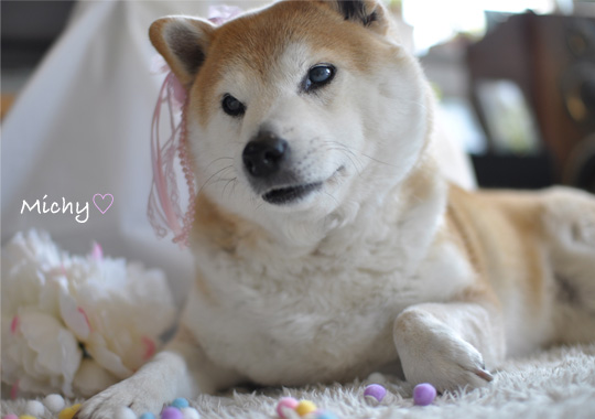 23日ブログ3.jpg