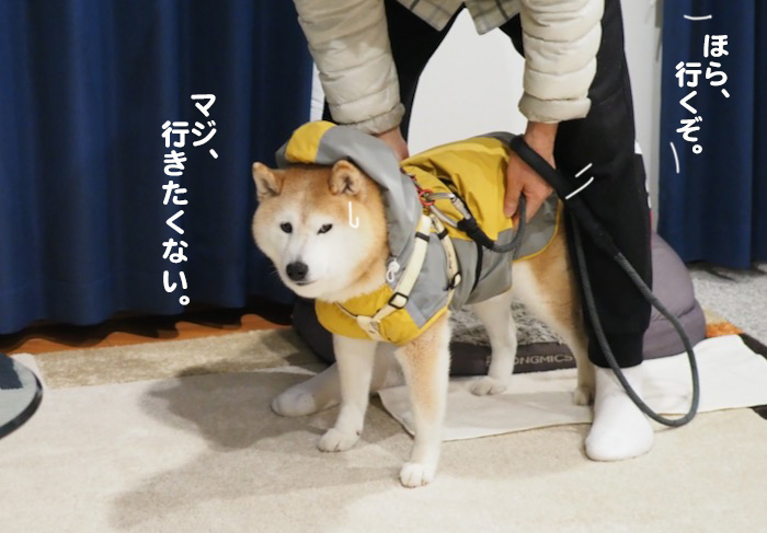 29日ブログ4