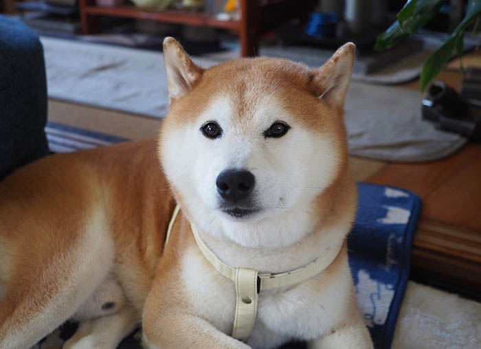 13日ブログ８