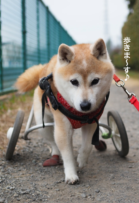 23日夜ブログ４