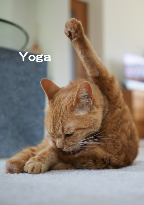 10日夕ブログ５