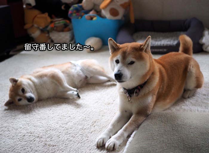 23日ブログ４