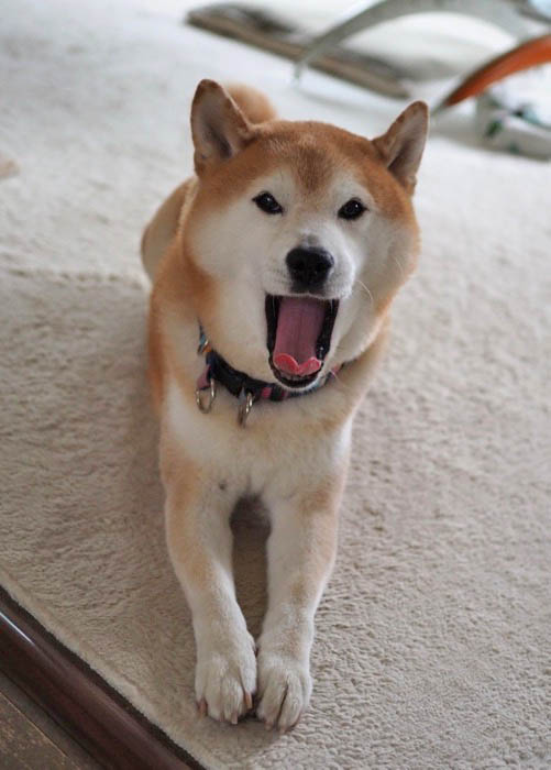 3日ブログ7
