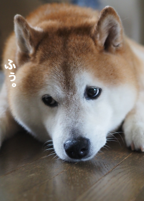 21日夜ブログ２