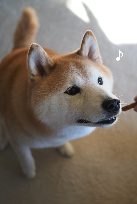8日夜ブログ２