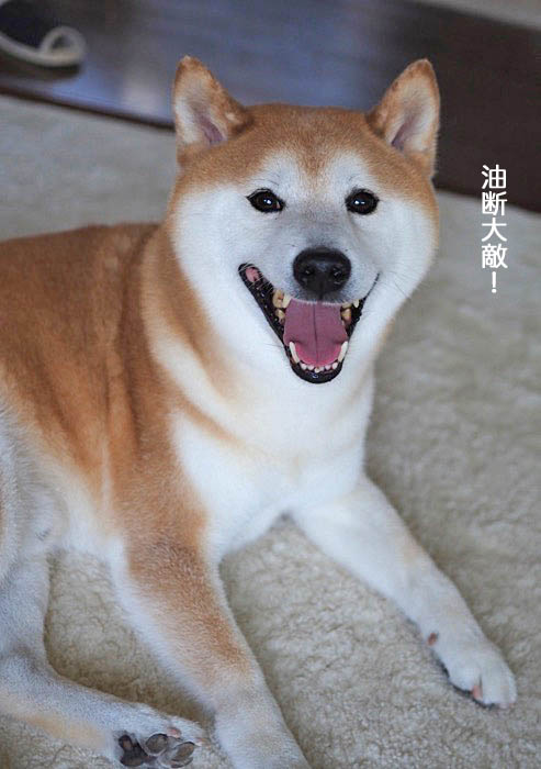 16日ブログ２
