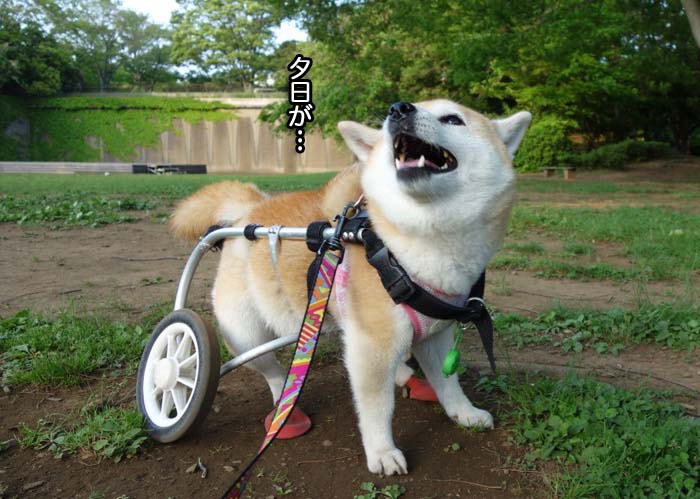 21日ブログ３