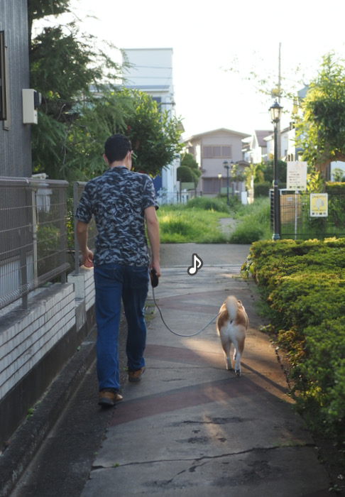 20日夕ブログ４