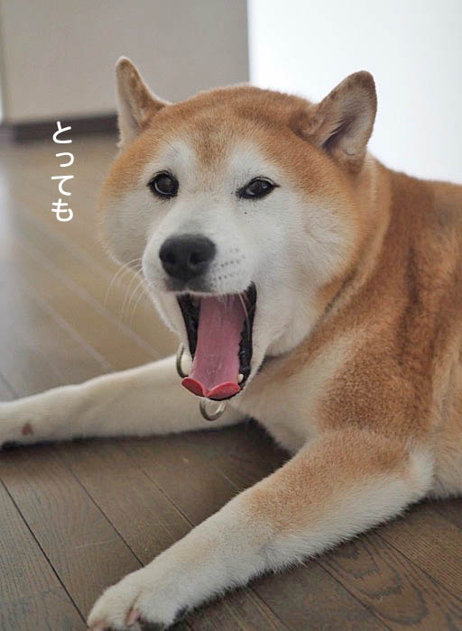 7日夜ブログ５