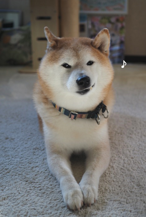 16日ブログ４