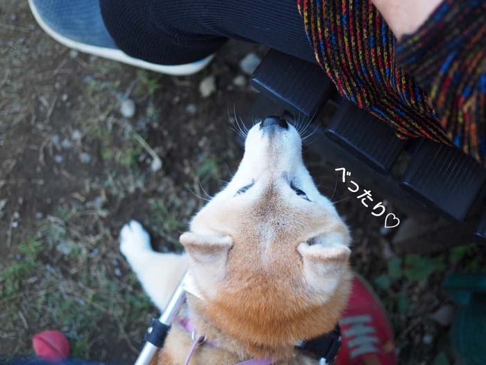 13日ブログ９