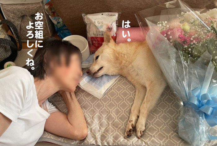9日ブログ９