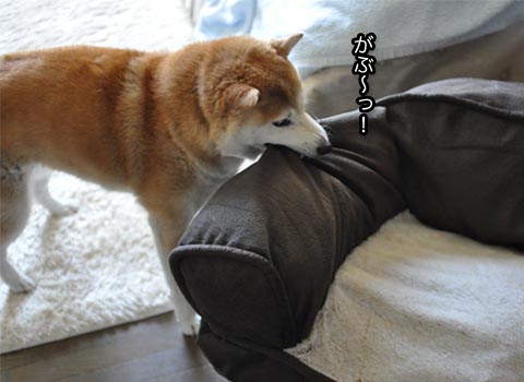 5日ブログ9.jpg