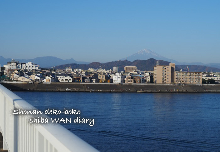 10日夕ブログ１