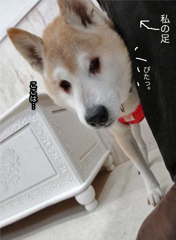 23日ブログ2.jpg