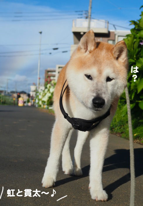 3日夕ブログ４