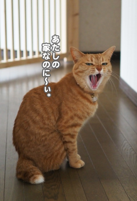 3日夕ブログ５