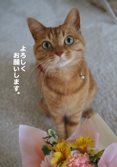 10日ブログ２