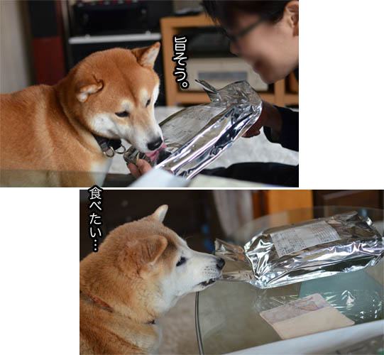 24日ブログ6.jpg