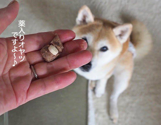 11日ブログ７