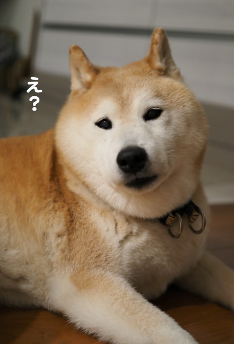 5日夕ブログ２