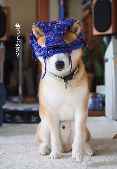 21日ブログ６