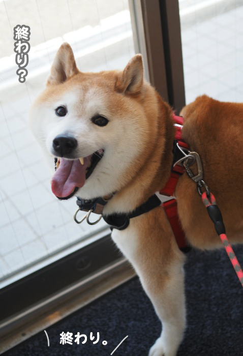 29日ブログ８