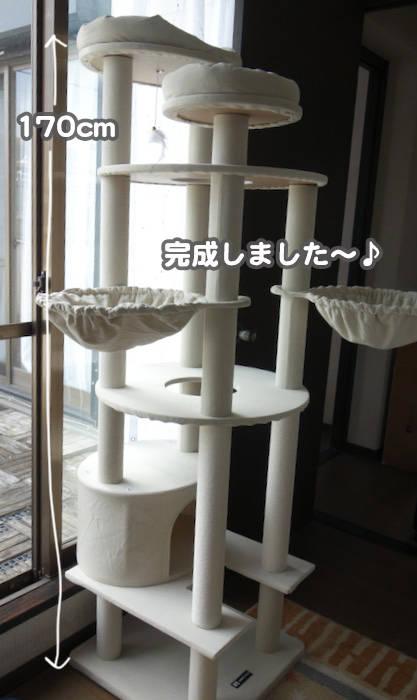 29日夕ブログ5