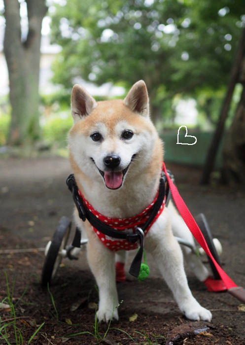 20日ブログ５