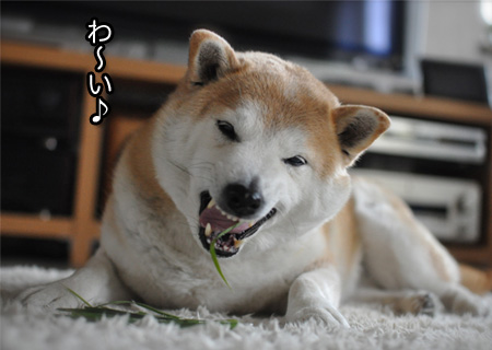 9日ブログ3.jpg