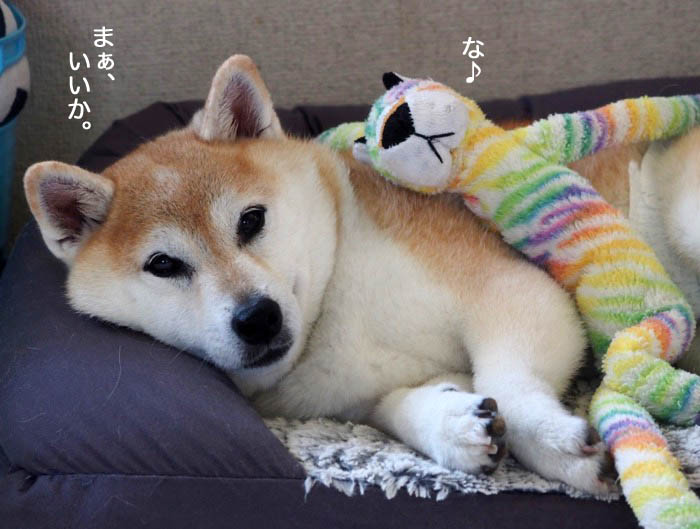 31日夕ブログ８